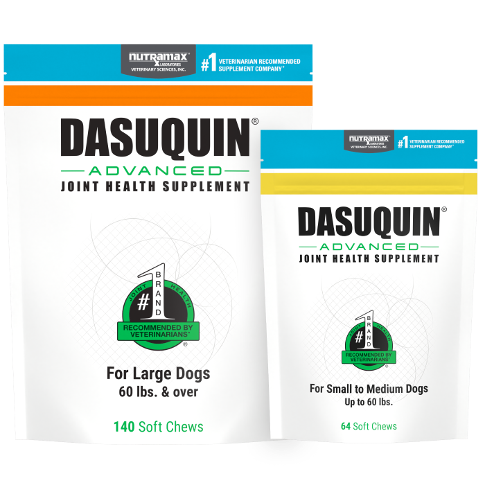 Dasuquin Soft Chews Large Dog Over 60 lb