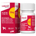 Galliprant (20mg)
