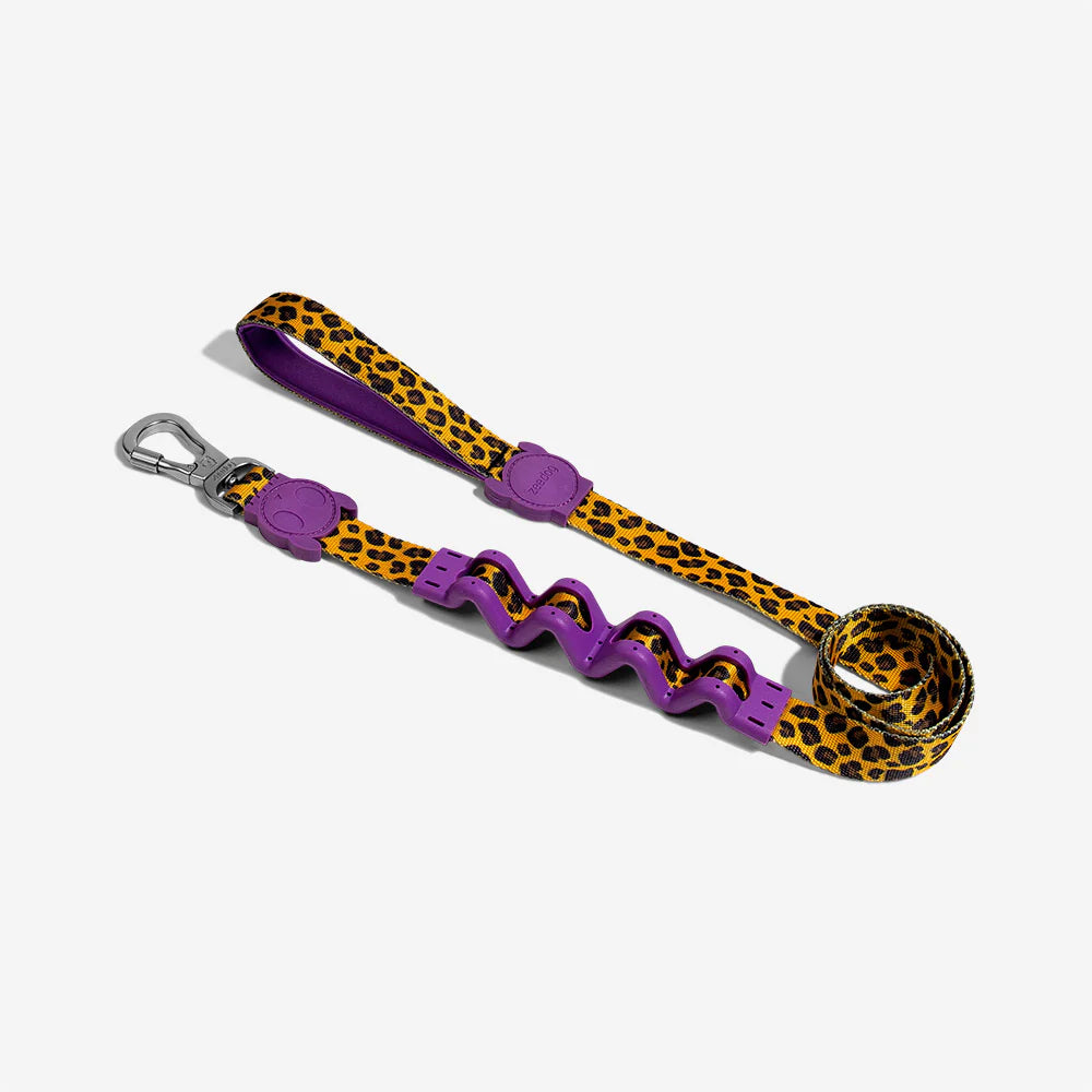 Honey | Dog Leash