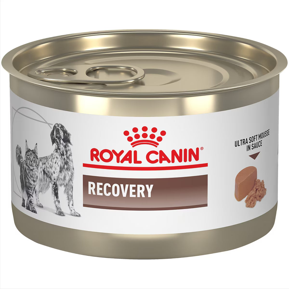 Royal Canin Recovery Canned Food