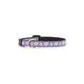 Up Country, Cat Collar Daisy