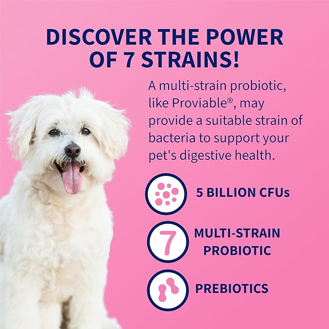 Nutramax Proviable Probiotics for Dogs and Cats