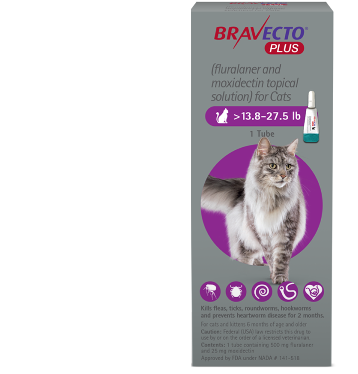 Bravecto Plus Feline (>13.8-27.5lbs)