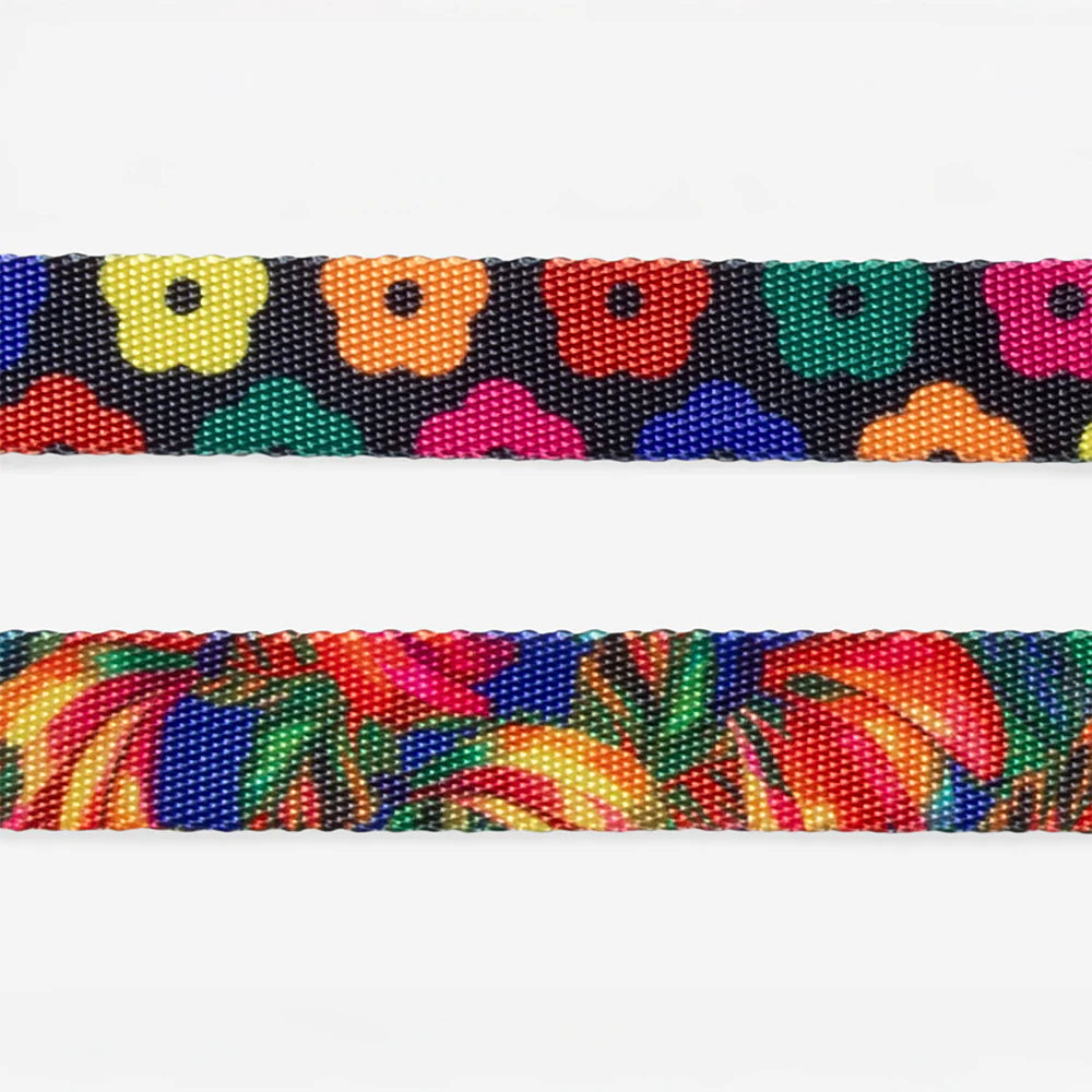 Samba | H Harness
